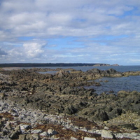 Nice weather at Logie Head! (Sunday)