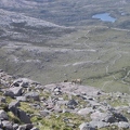 Deer from start of climb to Sgorr Ruadh (looking north, Lochan  Neimhie