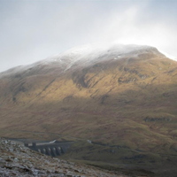 Over towards ben Lawyers