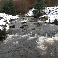 View up the river