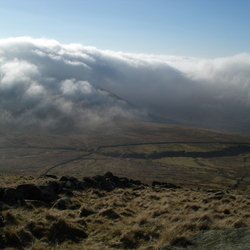 Various 2008