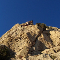 Marin - Jeanie on 2nd pitch of Jhonny