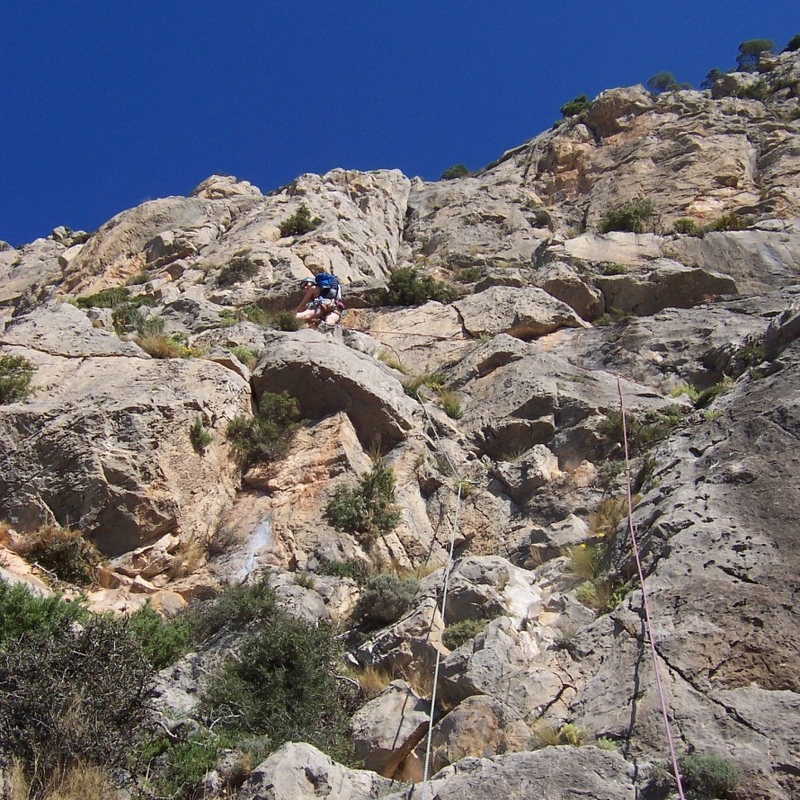 Jeanie on 1st pitch of Espolon Central Directa