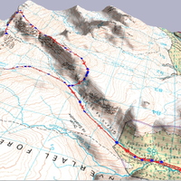 3D Version