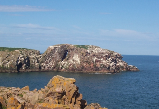 Dunbuy Rock - A screeching madhouse sanctuary for sea birds