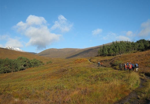 Track to Tom a' Choinich