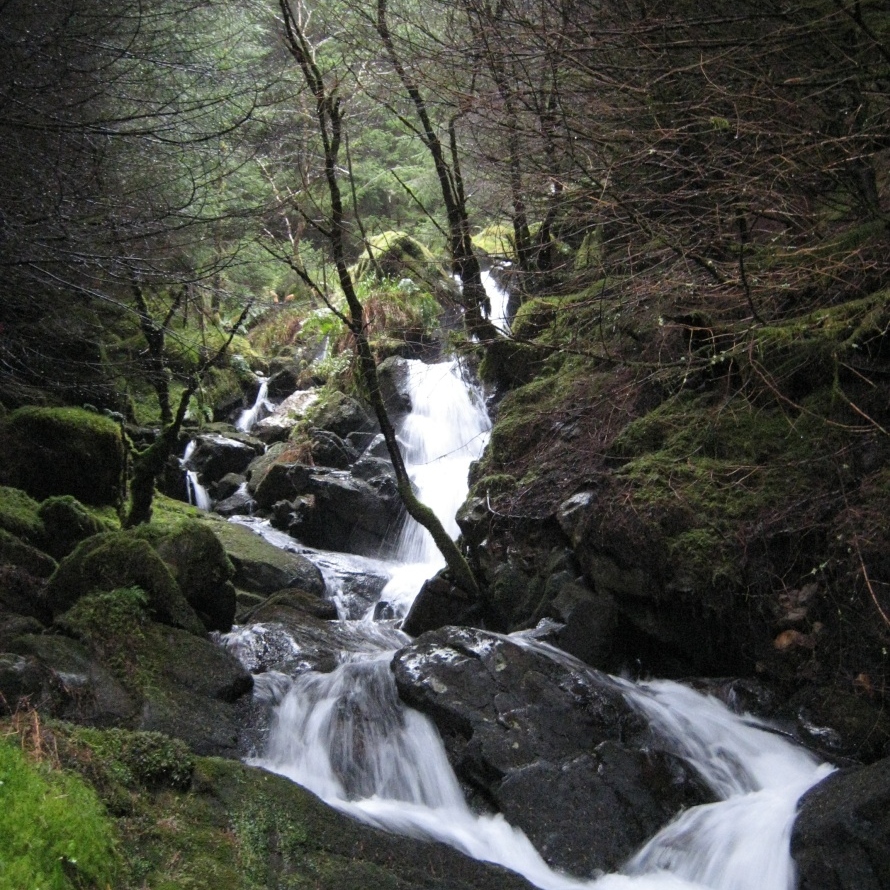 Saturday, Ballachulish Horseshoe. Rushing water through the woods
