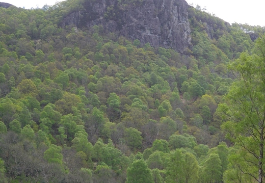 Black Crag, featuring Troutdale Pinnacle