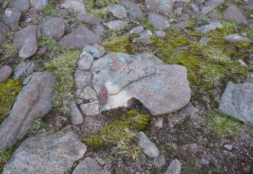 Footprint from prehistoric wolfman