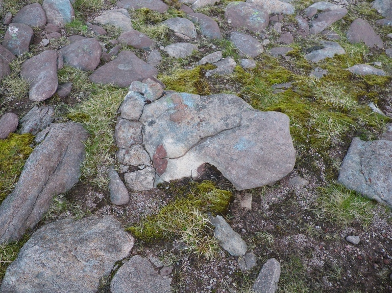 Footprint from prehistoric wolfman.JPG