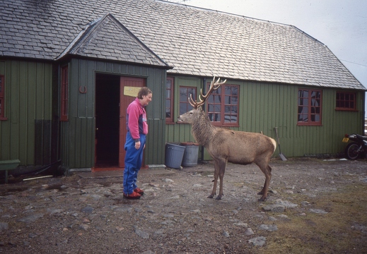 Anne Lochhead, Loch Ossian Feb 1991