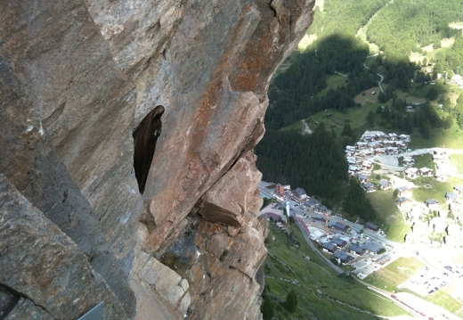 Zermatt '10: Madonna nestled beside overhanging ladders