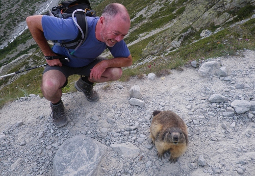 A Marmot with attitude!