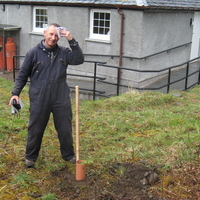 Replacement Tree Queens Diamond Jubilee