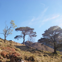 Looking back to Glas Bheinn Mhor.JPG