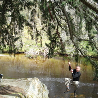 Bikes, Bothies, Bonfires - and Bungees!