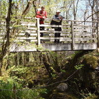 Pausing on the bridge
