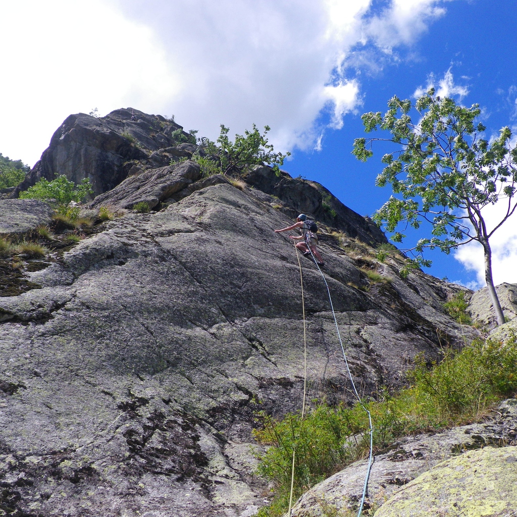 Jeanie on 3rd pitch of Le C des B