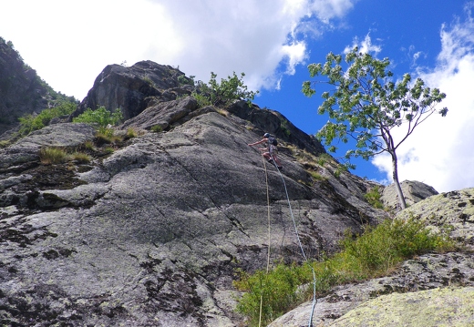 Jeanie on 3rd pitch of Le C des B