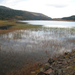 Morvern - Unfinished Business