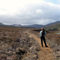 The Glen Feshie hills - 12/04/14
