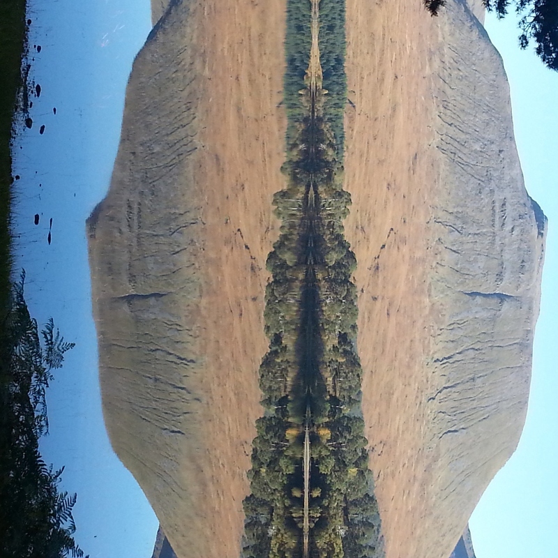 Beinn Dorain reflected in Loch Tulla