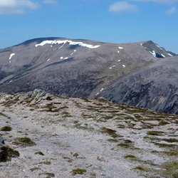 Cairngorms, June