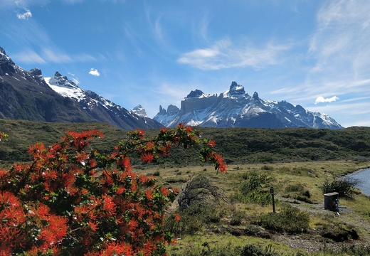 Patagonia 151