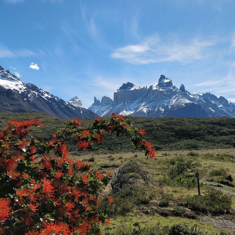 Patagonia 151