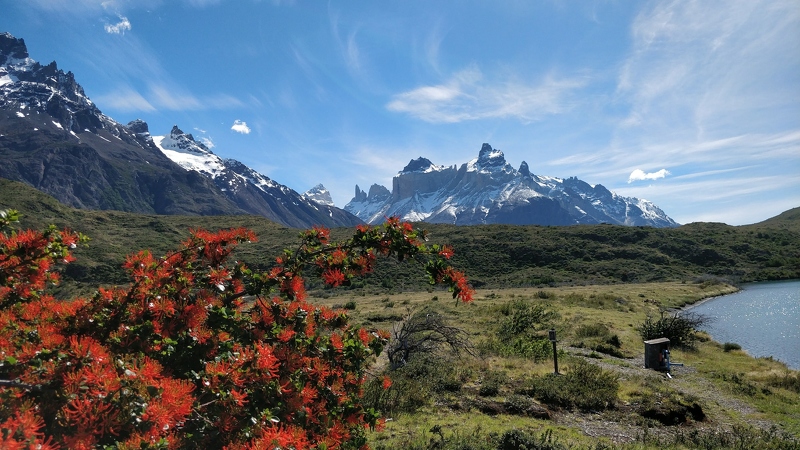 Patagonia_151.jpg