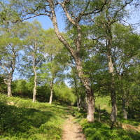 Braemar May 2018 (30)