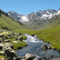 Landscape 05