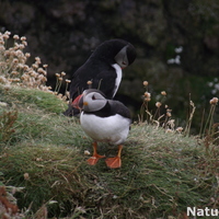 Nature 23