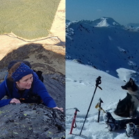 Action membershipcard