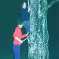 Tree-mendous climbing!
