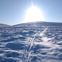 Blairdenon and Bengengie 24th January