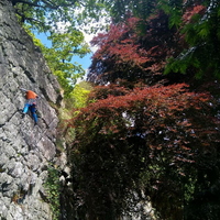 Action 2nd James Seaman