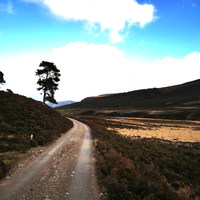 West up the Dee