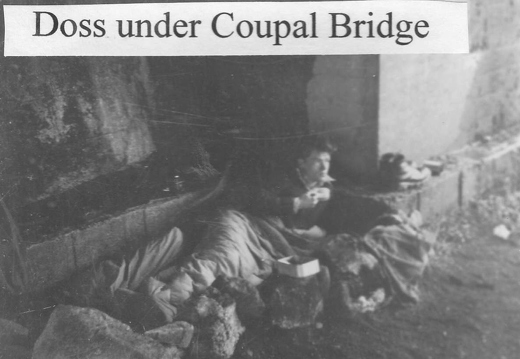 Doss under Coupal Bridge