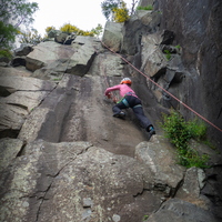 Liz cleaning Tentative Steps
