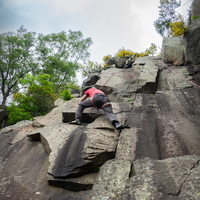 Graham on Promised Land