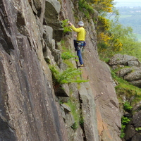 Colin leading in close-up