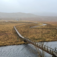 Achasheen Burns meet