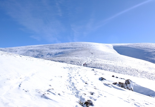 Meall na Leitreach and Sow of Atholl and Sgor Gaoith Glenfeshie 14