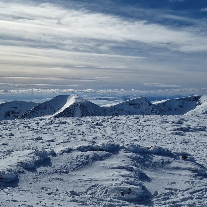 Views East from Ben MacDui