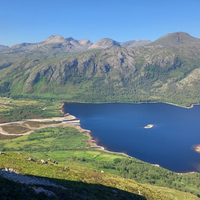 A walk on the wild side.