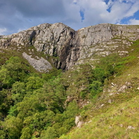 A walk on the wild side.