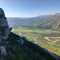 A walk on the wild side.