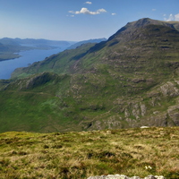 A walk on the wild side.