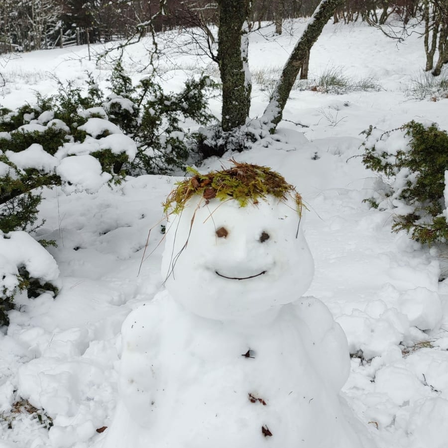 A Fat Happy Snowman